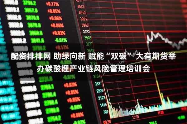 配资排排网 助绿向新 赋能“双碳” 大有期货举办碳酸锂产业链风险管理培训会